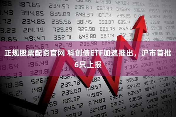 正规股票配资官网 科创债ETF加速推出，沪市首批6只上报