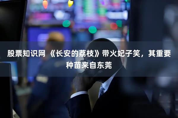 股票知识网 《长安的荔枝》带火妃子笑，其重要种苗来自东莞