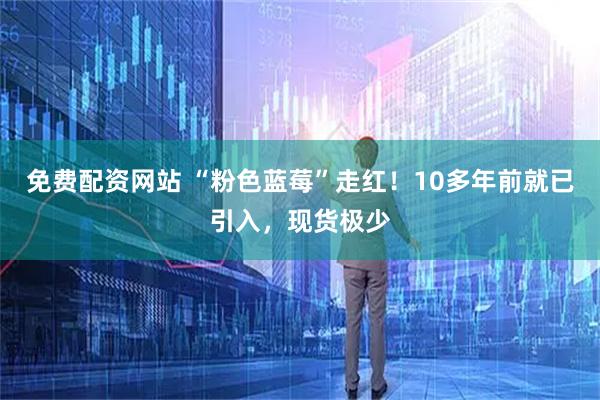 免费配资网站 “粉色蓝莓”走红！10多年前就已引入，现货极少